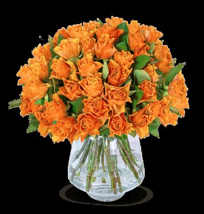 40 orange Rosen von Blume Ideal auf blumen.de