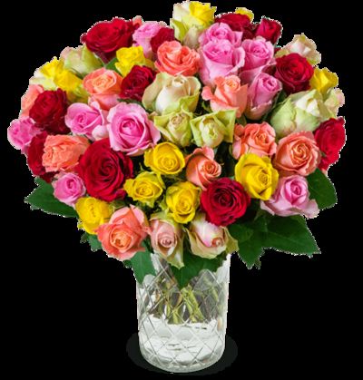 BLACK-FRIDAY-SPECIAL: 50 bunte Rosen (40cm) von Blume Ideal auf blumen.de