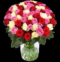 40 Rosen von Blume Ideal auf blumen.de