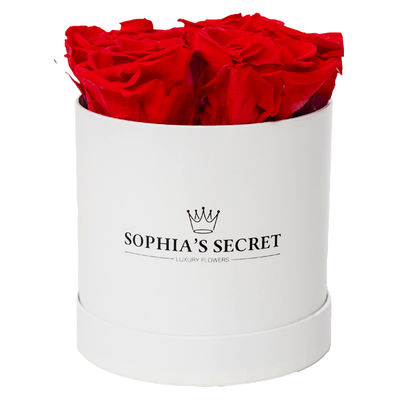 5 haltbare Rosen in Rot von FloraPrima auf blumen.de