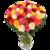 50 bunte Rosen XXL von Blume Ideal auf blumen.de
