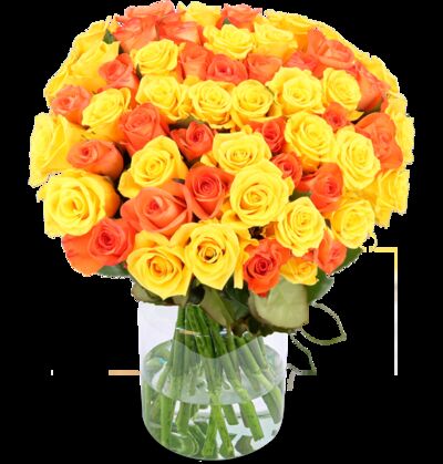 50 gelb orange Rosen von Blume Ideal auf blumen.de