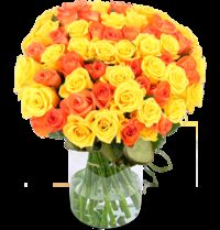 50 gelb orange Rosen von Blume Ideal auf blumen.de