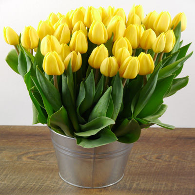 50 gelbe Tulpen von Duftgemüse auf blumen.de