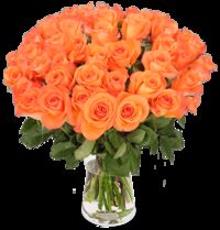 50 orange Rosen von Blume Ideal auf blumen.de
