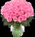 50 pinke Rosen von Blume Ideal auf blumen.de