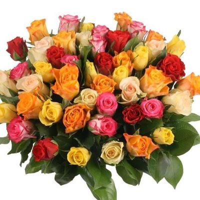 50 Rosen von Blumenfee auf blumen.de