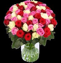 50 Rosen  von Blume Ideal auf blumen.de