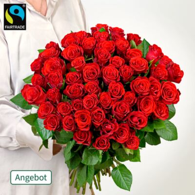 50 rote Fairtrade Rosen  von FloraPrima auf blumen.de