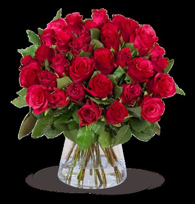 50 rote Rosen  von Blume Ideal auf blumen.de