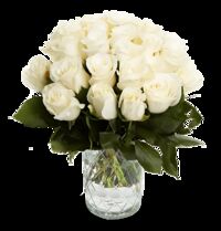 50 weiße Rosen von Blume Ideal auf blumen.de