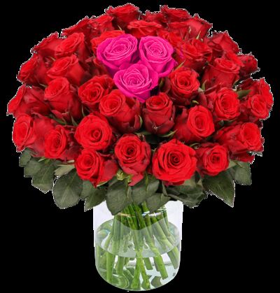 51 Rosen - 