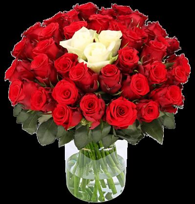 60 Rosen von Blume Ideal auf blumen.de