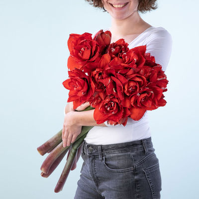 Amaryllis in Rot gefüllt  von Blume2000.de auf blumen.de