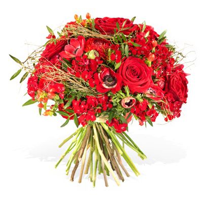 Amore mio von Fleurop auf blumen.de