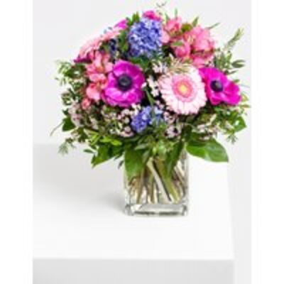 Anemonen und Alstromeria von Fleurop auf blumen.de