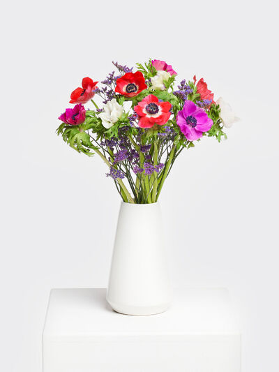 Anemonen und Strandflieder von Fleurop auf blumen.de