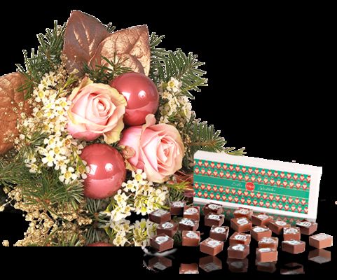 Angel's Visit von MIFLORA auf blumen.de