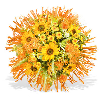 Astrostrauß Löwe von Fleurop auf blumen.de