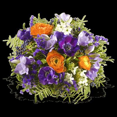 Astrostrauß Wassermann von Fleurop auf blumen.de