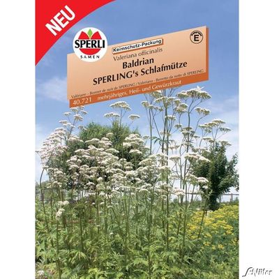 Baldrian SPERLINGs Schlafmütze von Garten Schlüter auf blumen.de