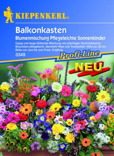 Balkonkasten-Mix 