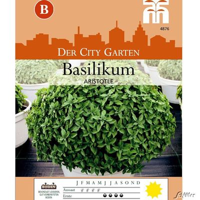 Basilikum ´Aristole´ von Garten Schlüter auf blumen.de