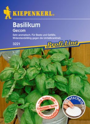 Basilikum 'Gecom'  von Gartengruen-24 auf blumen.de