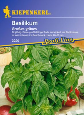 Basilikum 'Großes grünes Genoveser'  von Gartengruen-24 auf blumen.de