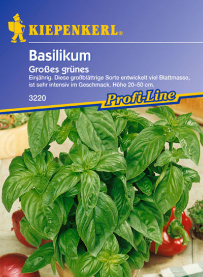 Basilikum `Großes grünes Genoveser` von Pflanzenwelt Biermann auf blumen.de
