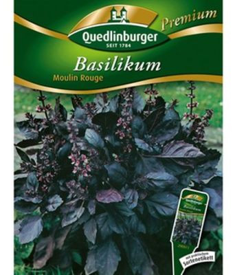 Basilikum ´Moulin Rouge´ von BALDUR-Garten auf blumen.de