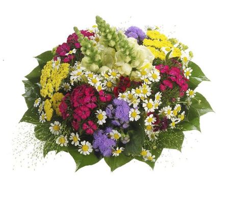 Bellissima von Flowers-deluxe auf blumen.de