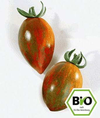 BIO-Snacktomate ´Cookie´ F1,2 Pflanzen von BALDUR-Garten auf blumen.de
