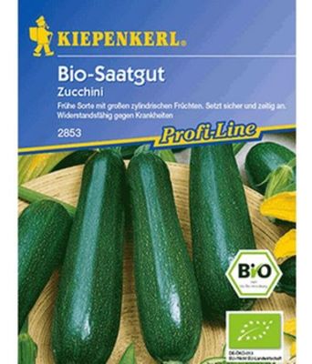 BIO-Zucchini, grün von BALDUR-Garten auf blumen.de