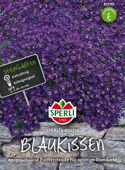 Blaukissen Sperli´s Azurro von TOM-GARTEN auf blumen.de