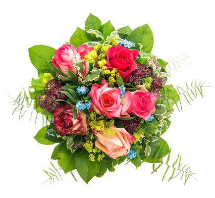 Blumen Confidential von Blume Ideal auf blumen.de