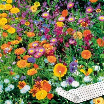 Blumen-Saatteppich 0,20 x 3 m (Mix) von Gärtner Pötschke auf blumen.de