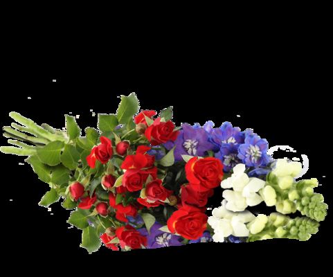 Blumenarrangement von MIFLORA auf blumen.de