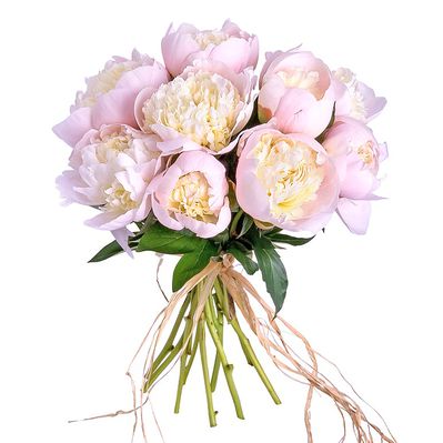 Blumenstrauß 10 Pfingstrosen rosa von Lidl Blumen auf blumen.de