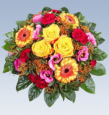 Blumenstrauß Adorazione von Lidl Blumen auf blumen.de