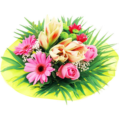 Blumenstrauß Amaryllis von Bluvesa auf blumen.de
