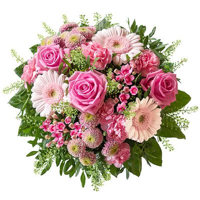 Begeisterung von Lidl Blumen auf blumen.de