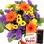Blumenstrauß Holiday - Blumen online günstig mit Gratis-Secco von Blumenfee auf blumen.de