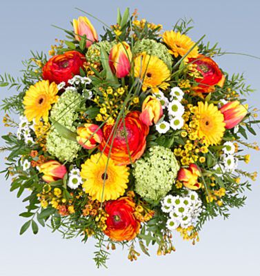 Blumenstrauß Primavera von Lidl Blumen auf blumen.de