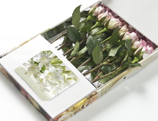 Blumenstrauß - Rosengeschenk lila von Frederique's Choice auf blumen.de