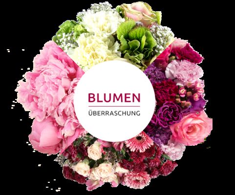 Blumenüberraschung von MIFLORA auf blumen.de