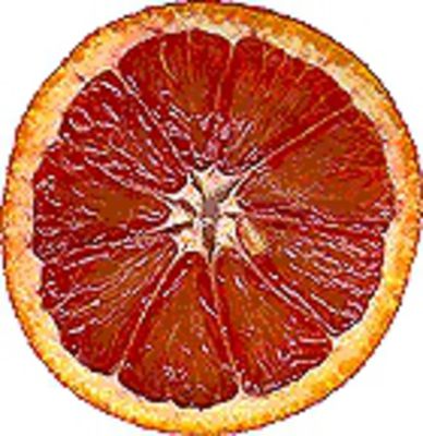 Blutorange, Citrus tarocco Rosso von Der Palmenmann auf blumen.de