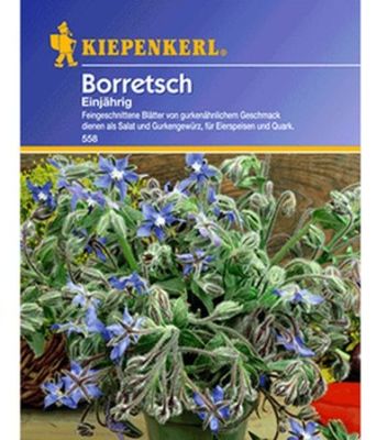 Borretsch von BALDUR-Garten auf blumen.de