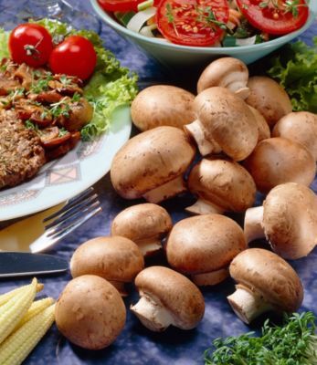 Braune Steinchampignons von GartenXXL auf blumen.de