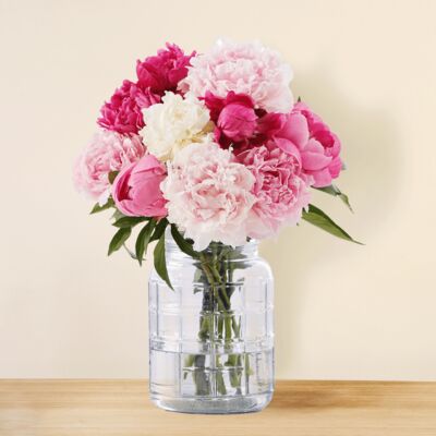 Bunte Pfingstrosen - 10 Stiele von Blume2000.de auf blumen.de